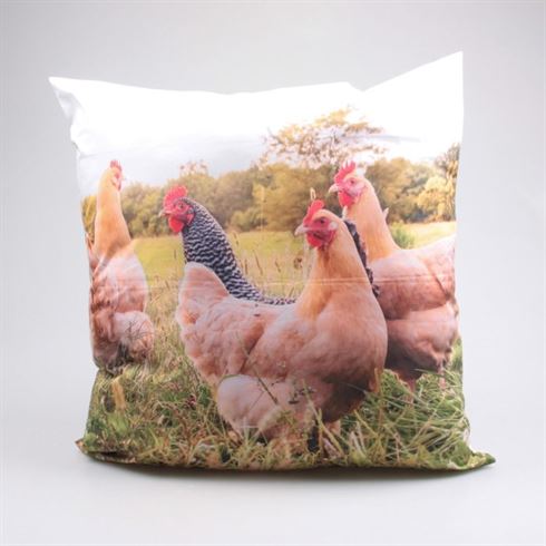 Polštář venkovní zvířata slepice 60 cm