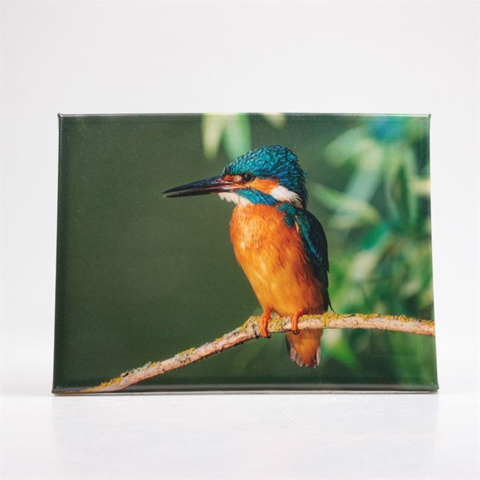 Obraz venkovní Ledňáček 40 cm