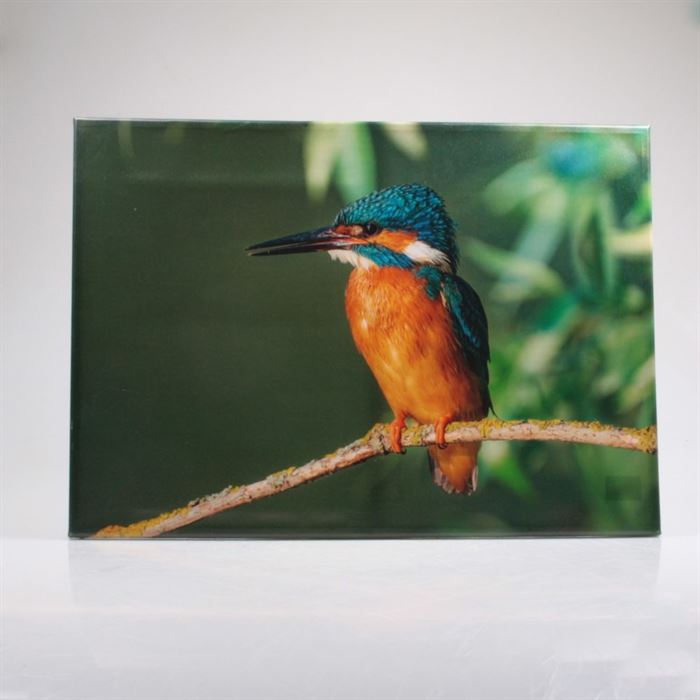 Obraz venkovní Ledňáček 70 cm