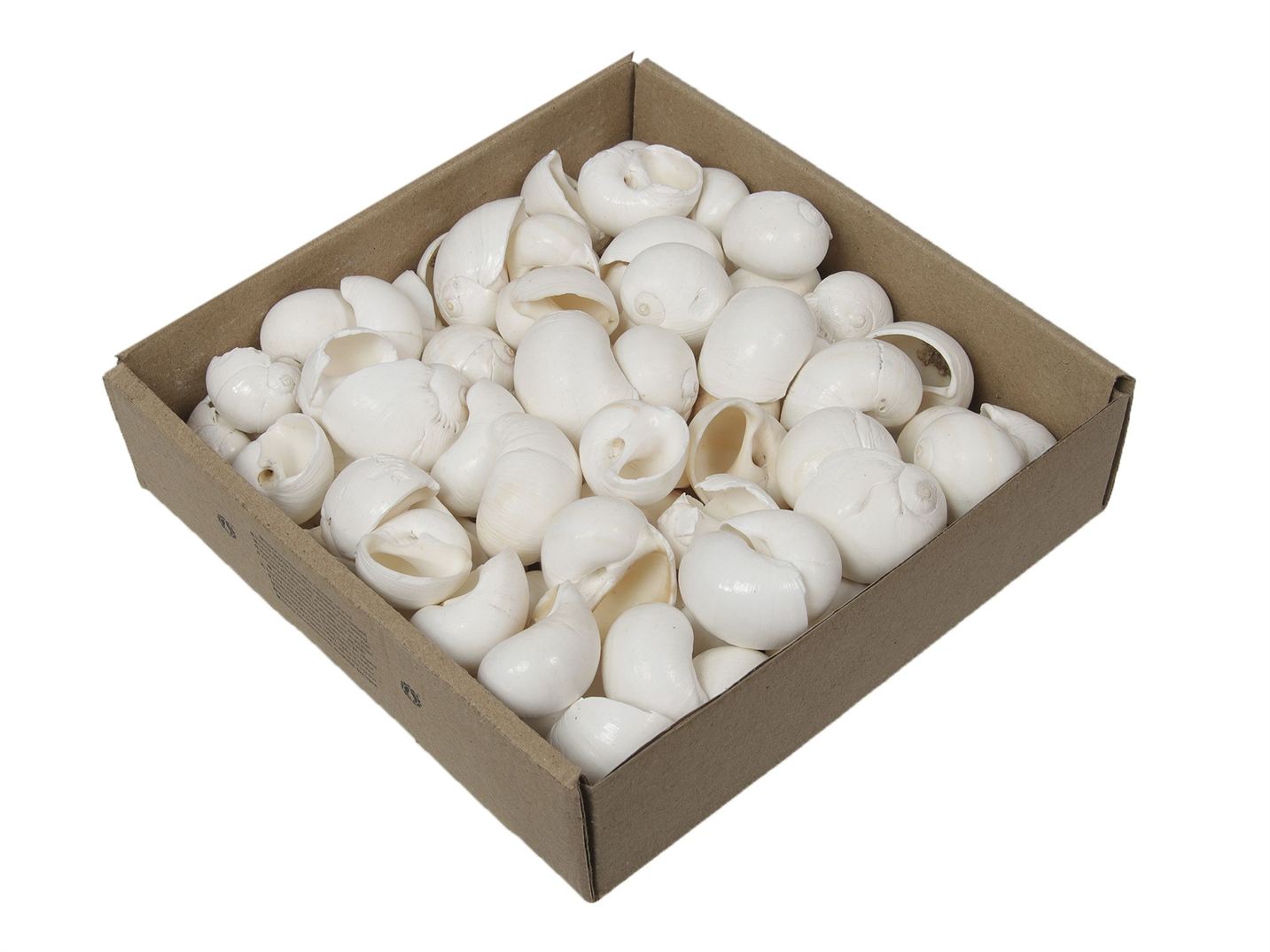 Mušle Mattugon 900 g