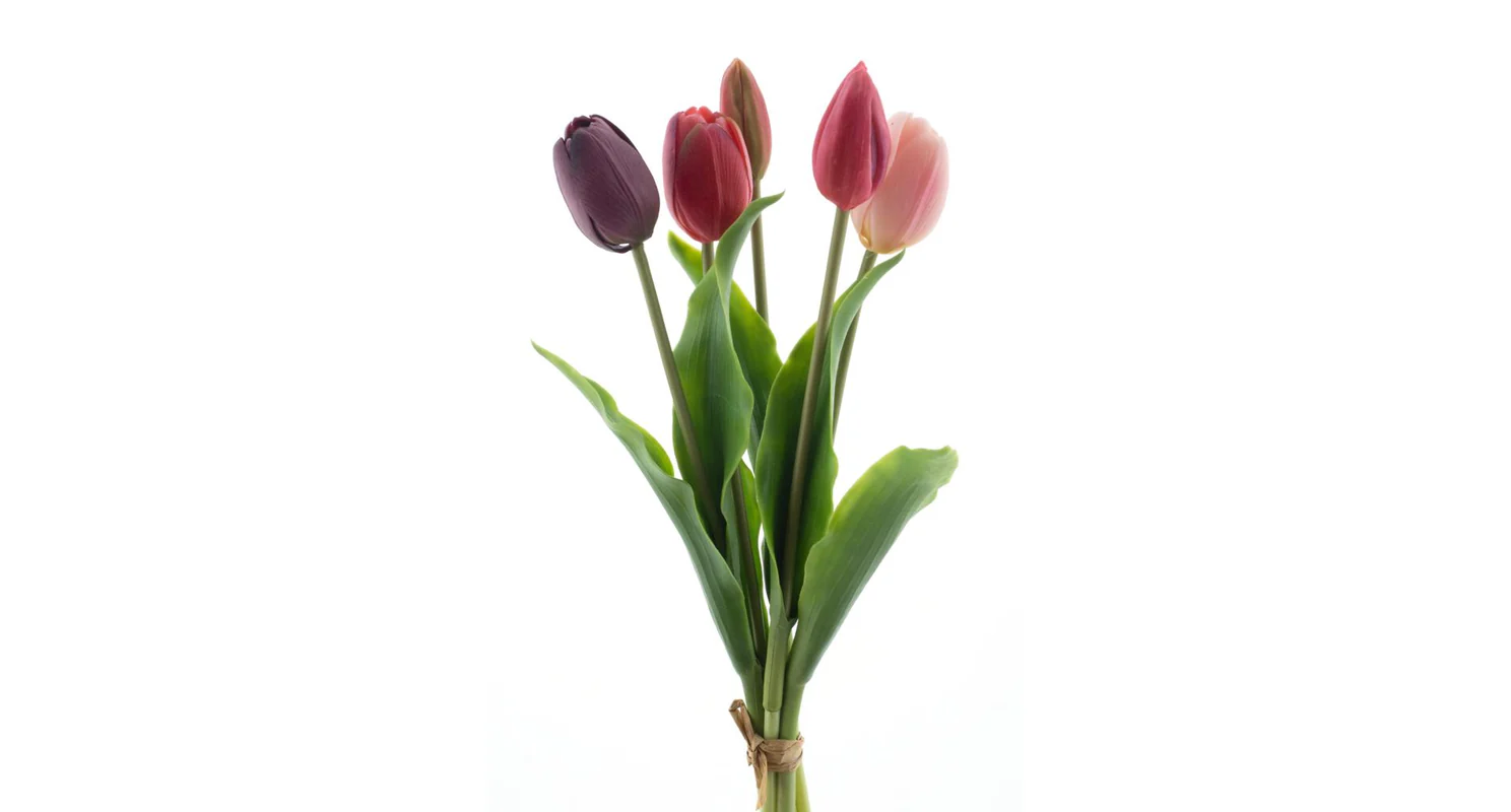Tulipány silikonové 36 cm 5 ks