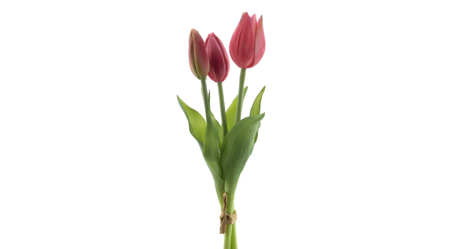 Tulipány silikonové 25 cm 3 ks