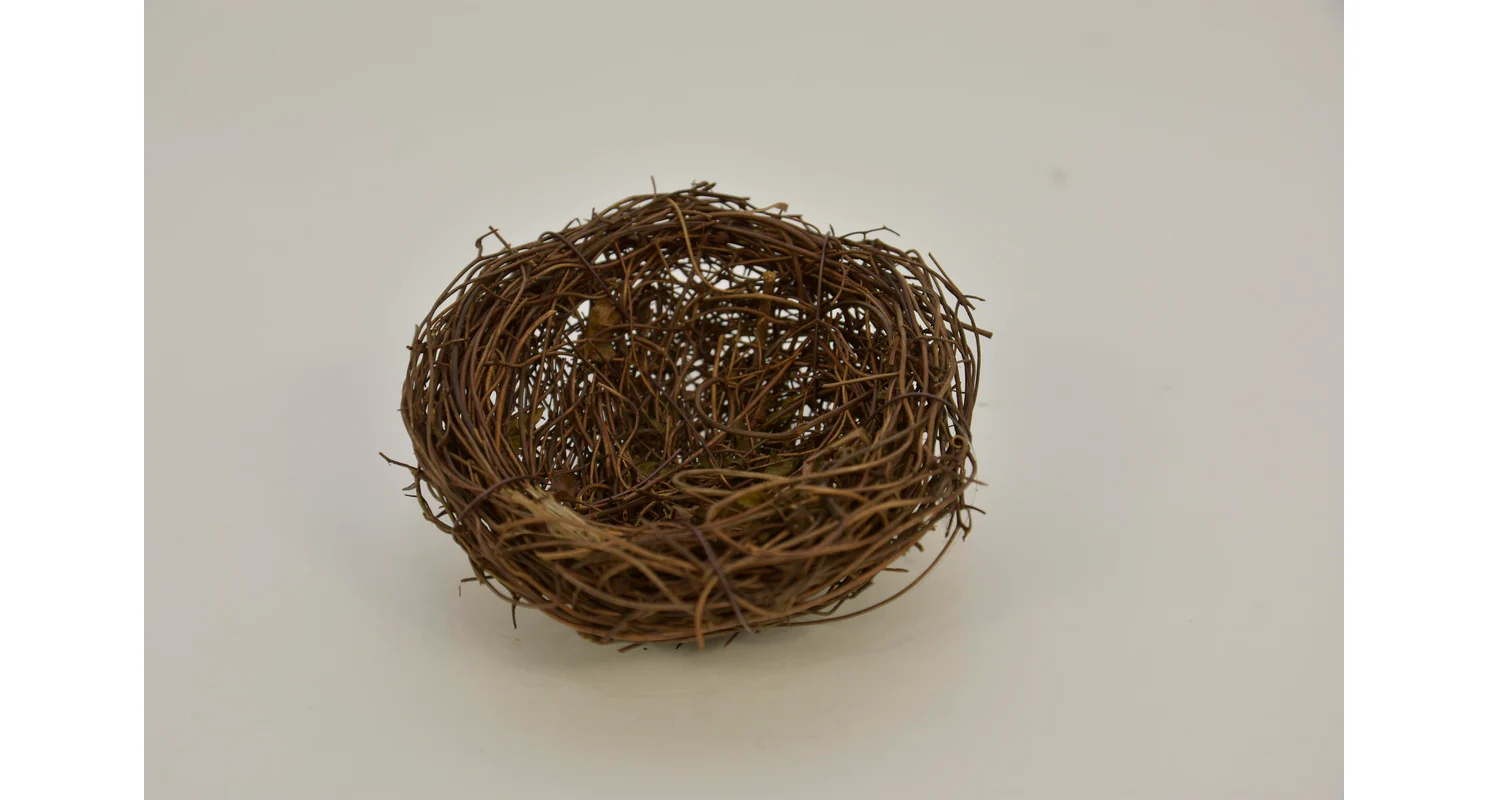 Hnízdo salimové 10 cm