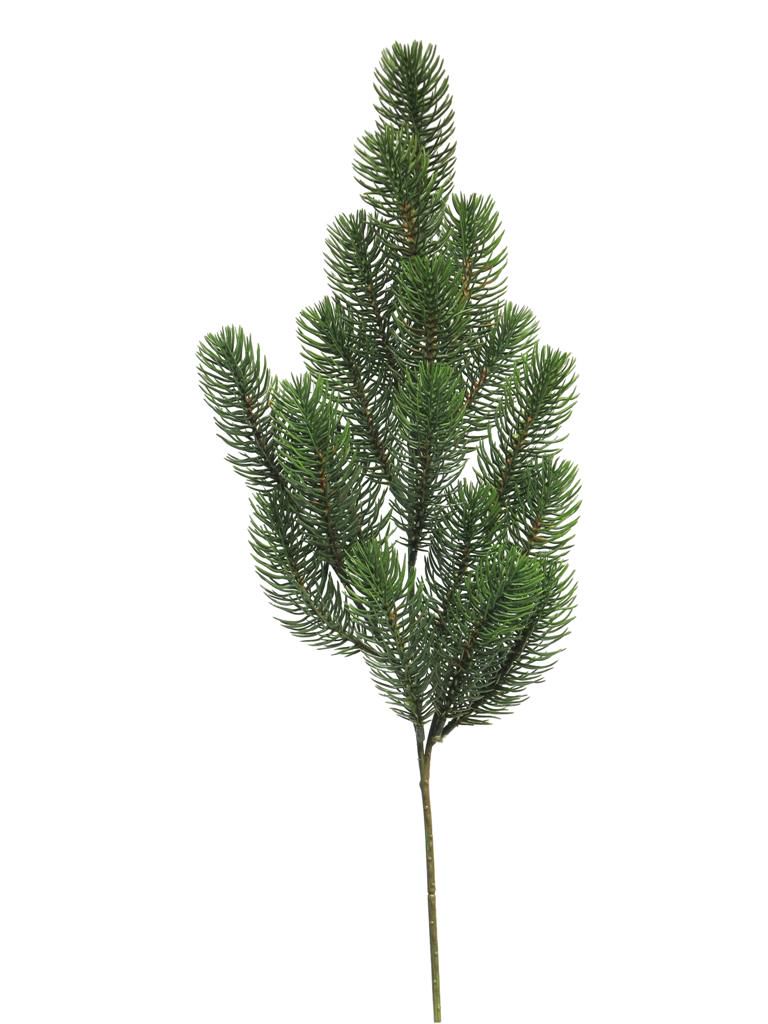 Větev borovice 50 cm