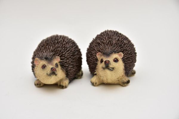 Ježek sada 2 ks 10 cm